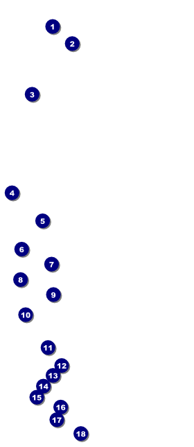 RV Expo VIP Pass Front Field Markers