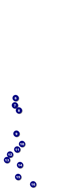 Arsenic & Old Lace VIP Pass Front Field Markers