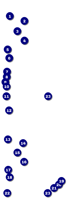 Vineyard Event Ticket Front Field Markers
