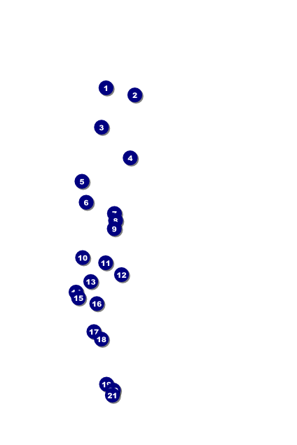 Vineyard Poster Front Field Markers