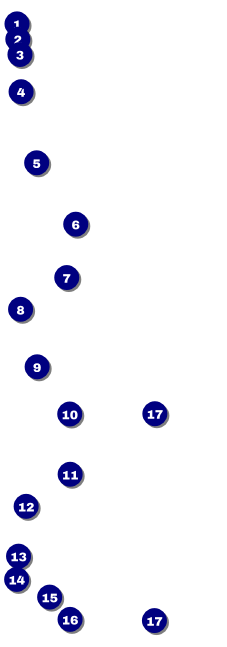 50th Anniversary Event Ticket Front Field Markers
