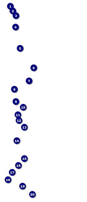50th Anniversary VIP Pass Front Field Markers