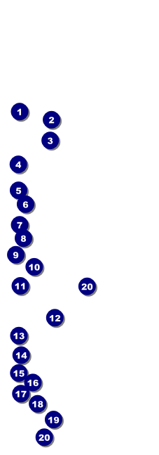 Chocolate Event Ticket Front Field Markers