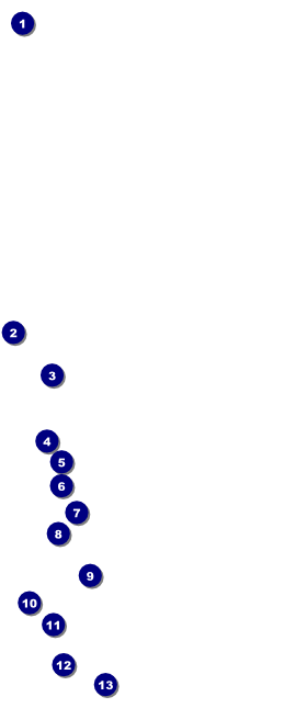 Medieval Banquet VIP Pass Front Field Markers