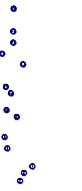 Outer Space VIP Pass Front Field Markers