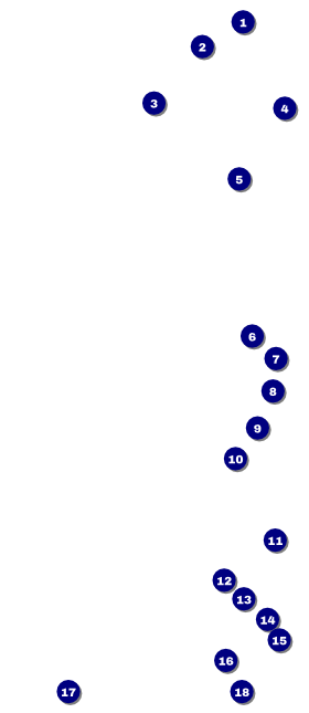 Soccer Ribbon VIP Pass Front Field Markers