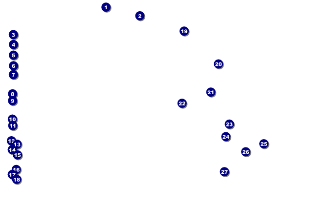 Swim Camp Poster Front Field Markers