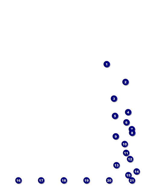 Spanish Festival Logo Flyer Front Field Markers