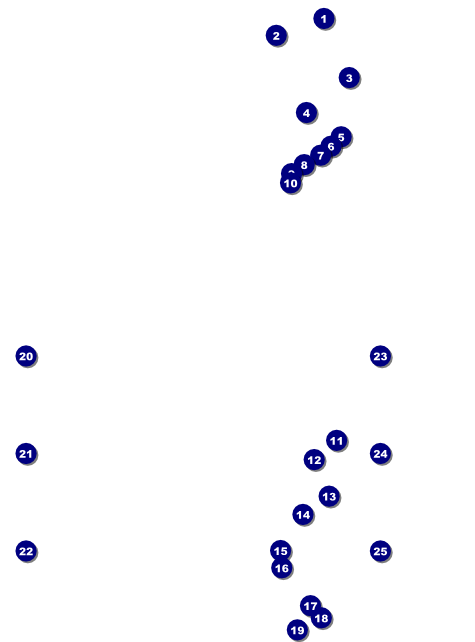 Spanish Flag Logo Flyer Front Field Markers