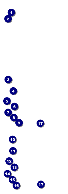 Speed Dating Event Ticket Front Field Markers