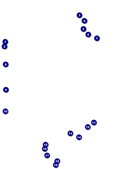 Puerto Rico Flag Flyer Front Field Markers