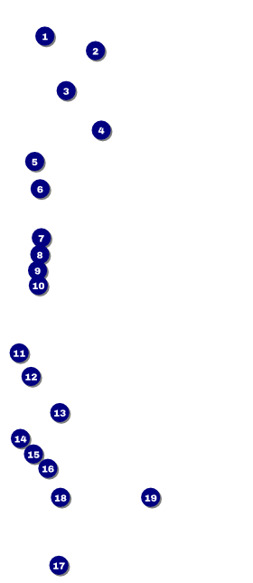 Vineyard VIP Event Badge Large Front Field Markers