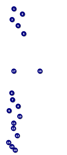 Run for a Cause  VIP Event Badge Large Front Field Markers