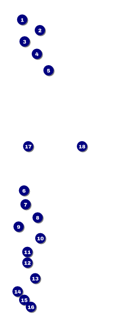 Run for a Cause (Blue-Green) VIP Event Badge Large Front Field Markers