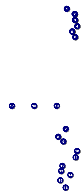 Lotus Flower VIP Event Badge Large Front Field Markers