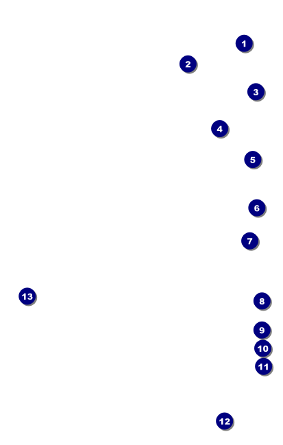 St Patrick's Day Shamrock VIP Event Badge Medium Front Field Markers