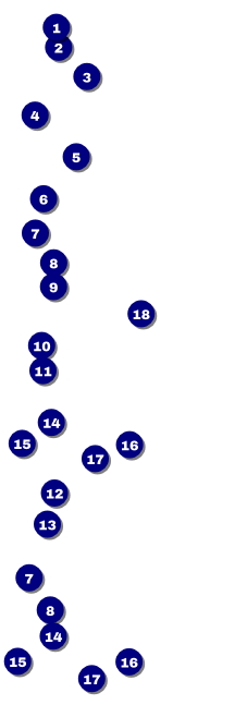 Beer Festival Reserved Event Ticket Front Field Markers