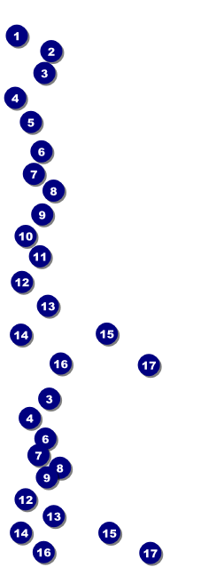 Leaf Reserved Event Ticket Front Field Markers