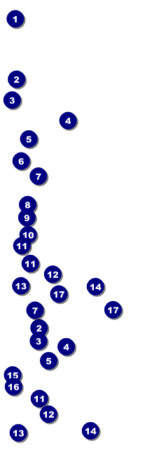 Lymphoma Reserved Event Ticket Front Field Markers