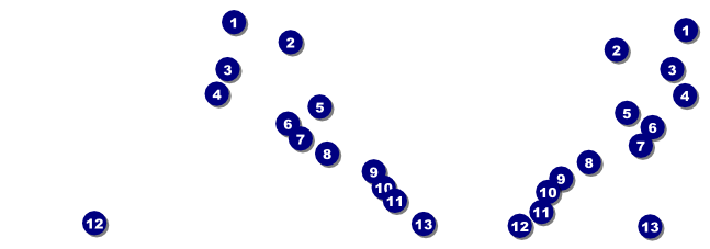 Winter Bird Reserved Event Ticket Front Field Markers