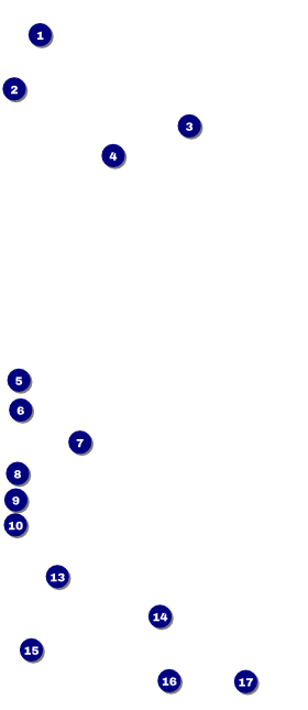 Reggae Lion VIP Pass Front Field Markers