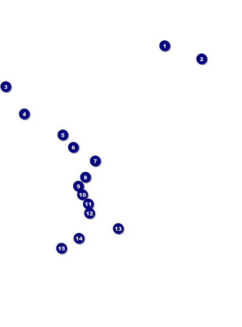 All Purpose Geometric Black and White Flyer Front Field Markers