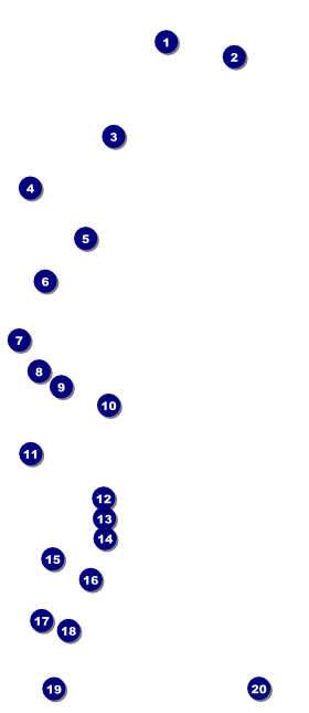 All Purpose buildings Black and White VIP Pass Front Field Markers
