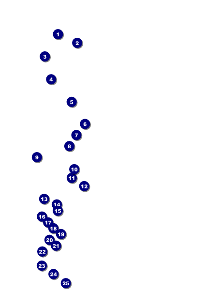 Red Rose Poster Front Field Markers