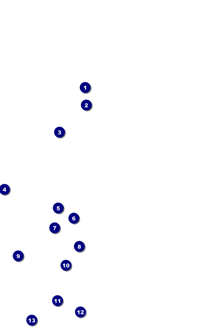 Fall Leaves Poster Front Field Markers