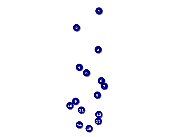 Spring Festival 2 Invitation Front Field Markers