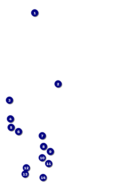 Masked Ball Invitation Front Field Markers