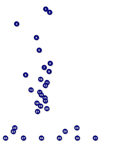 Colorful Trout Flyer Front Field Markers