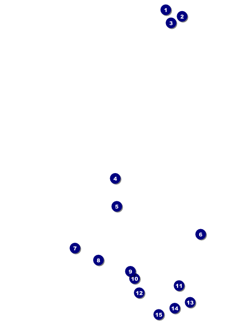 Chinese New Year Tiger Flyer Front Field Markers