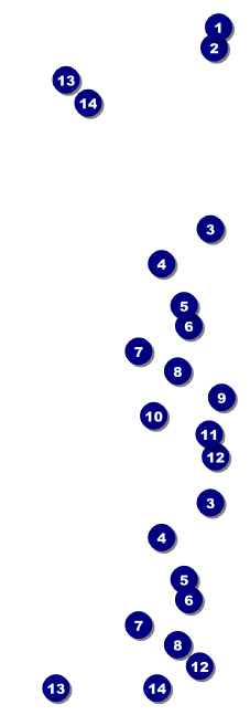 Chinese New Year Rabbit Event Ticket Front Field Markers