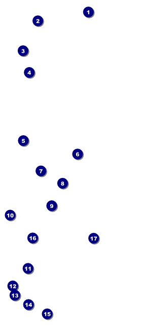 Pool Challenge VIP Pass Front Field Markers