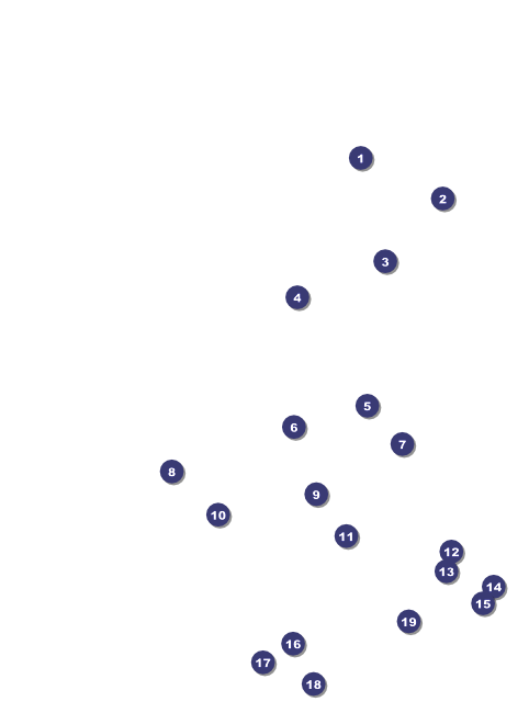 Fireworks Flyer Front Field Markers