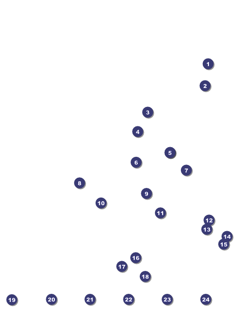 Fireworks Flyer with Images Front Field Markers