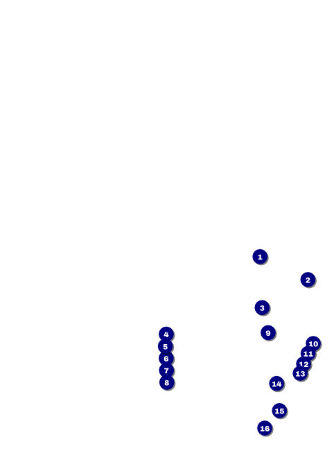 Modern Dance Black Flyer Front Field Markers