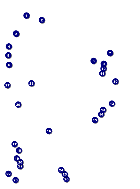 Roller Derby Jammer Flyer Front Field Markers