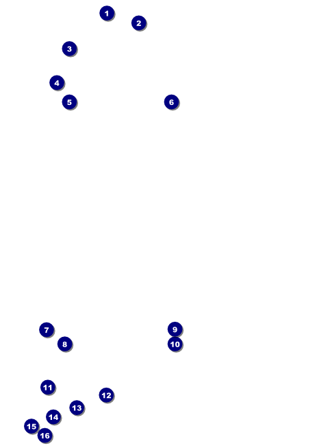 Hanukkah Menorah Flyer Front Field Markers