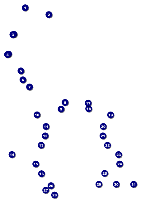 Basketball Court Flyer Front Field Markers