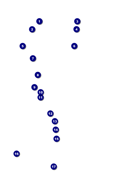 Roaring 20s Flyer Front Field Markers