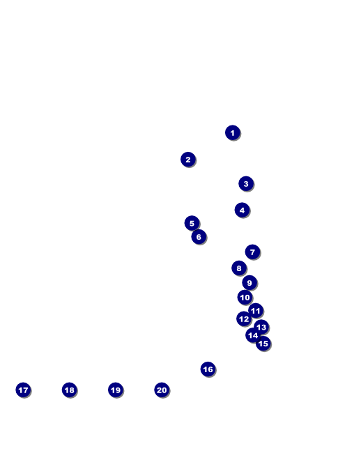 WFL Oklahoma Thunder Flyer Front Field Markers