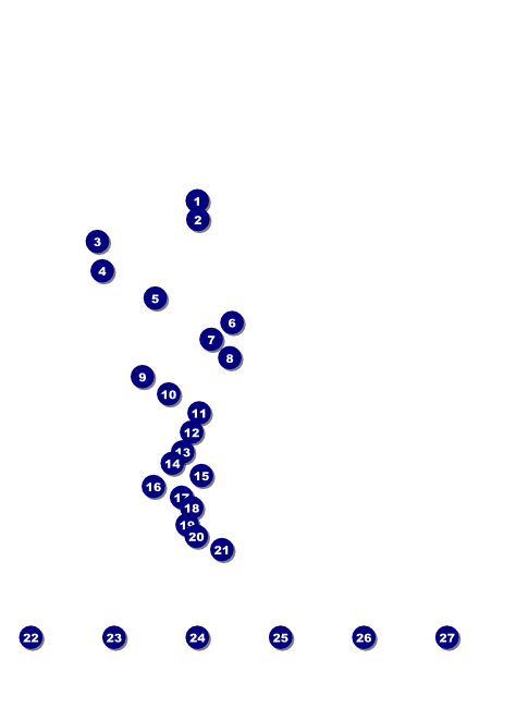 Washington D.C. Flyer Front Field Markers