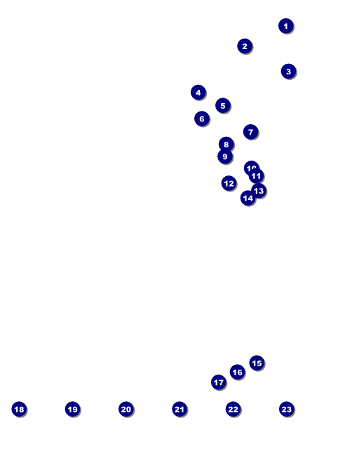 Denver Black and White Flyer Front Field Markers