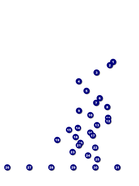 Detroit Flyer with Image Upload Front Field Markers