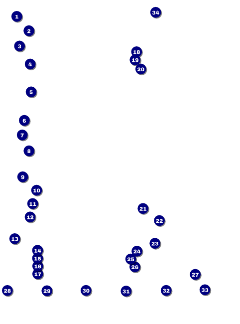 Run for a Cause Orange Logo Flyer Front Field Markers