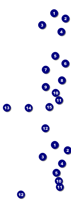 Golf Photo Event Ticket Front Field Markers