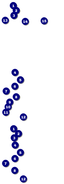 Run for a Cause Blue & Green Event Ticket Front Field Markers