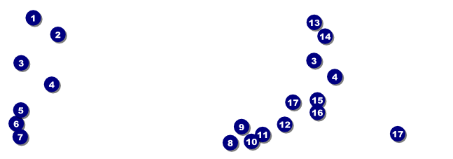 Lions Club International Water Color Event Ticket Front Field Markers